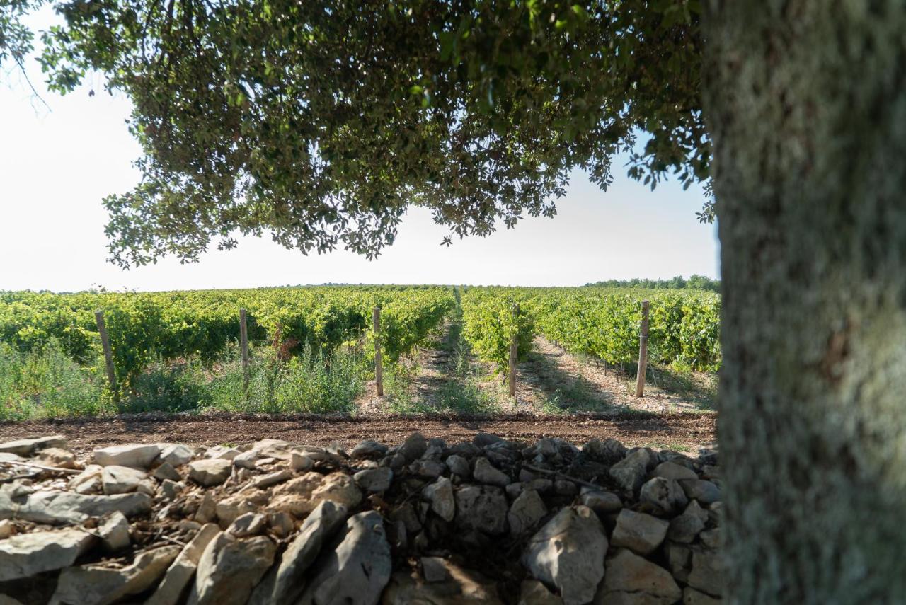 Le Masserie Zucaro Castel Del Monte  Luaran gambar